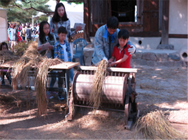 와룡기로 탈곡하기