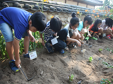모종 심는 어린이들
