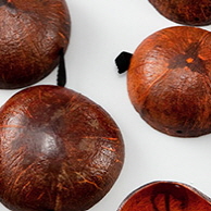 스얼성샤오(십이지신)