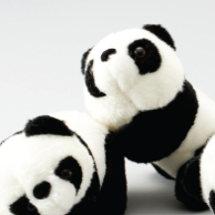 시옹마오(판다)