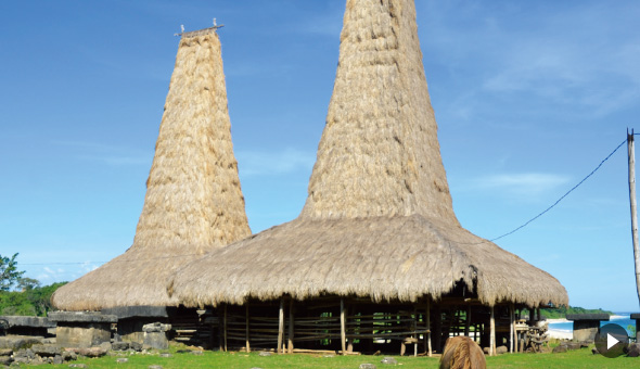 숨바 지역 전통가옥