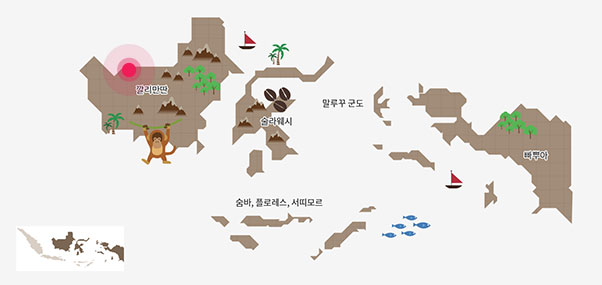 깔리만딴 지역