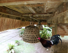 전통가옥 아래 빈 공간