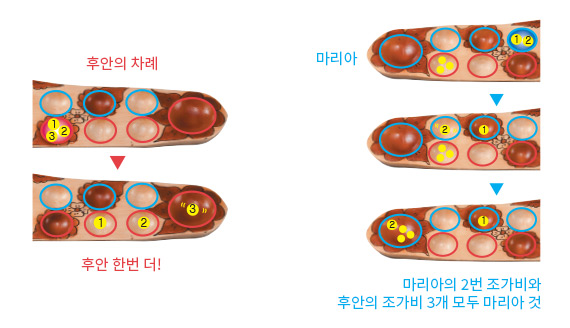 숭카 놀이 방법2
