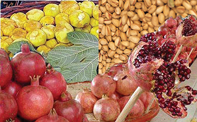 우즈베키스탄 전통시장 이미지3