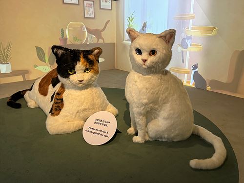 요물, 우리를 홀린 고양이 전시 모습